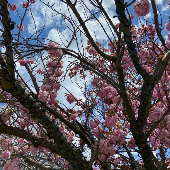 Meet your Posher, Melanie - Picture 1 of 1